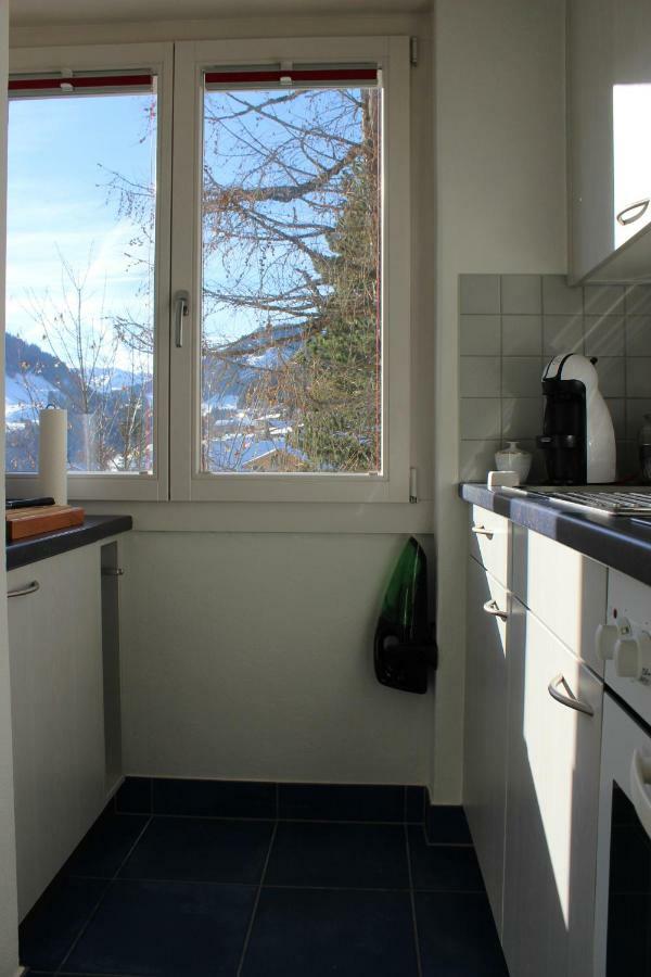The Engstligen Apartment Adelboden Exterior photo