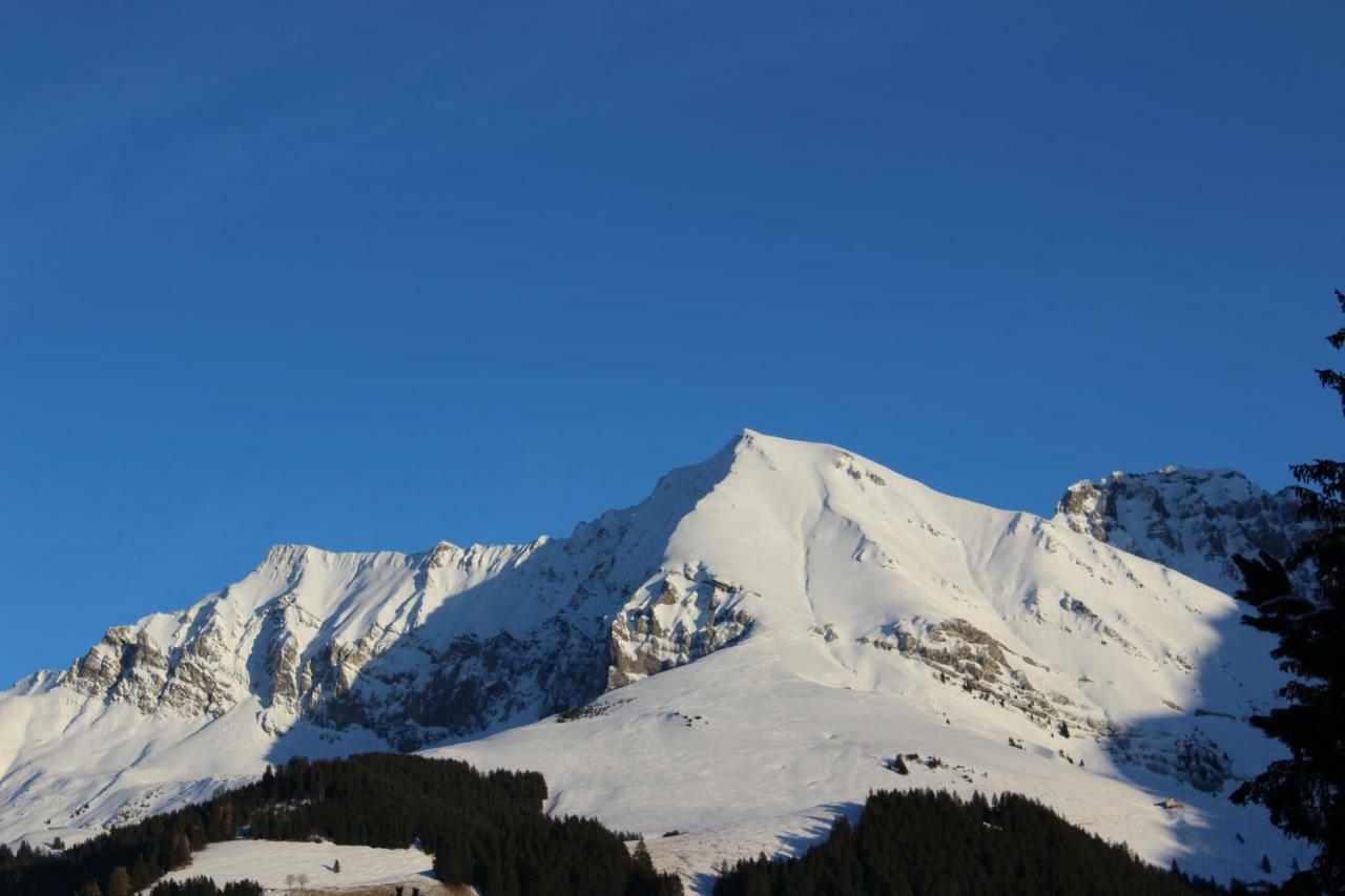 The Engstligen Apartment Adelboden Exterior photo