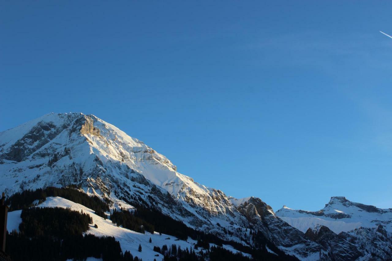 The Engstligen Apartment Adelboden Exterior photo